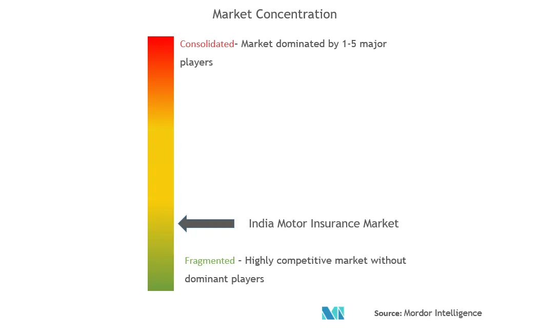 India Motor Insurance Market Concentration
