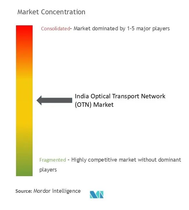 India Optical Transport Network (OTN) Market Concentration