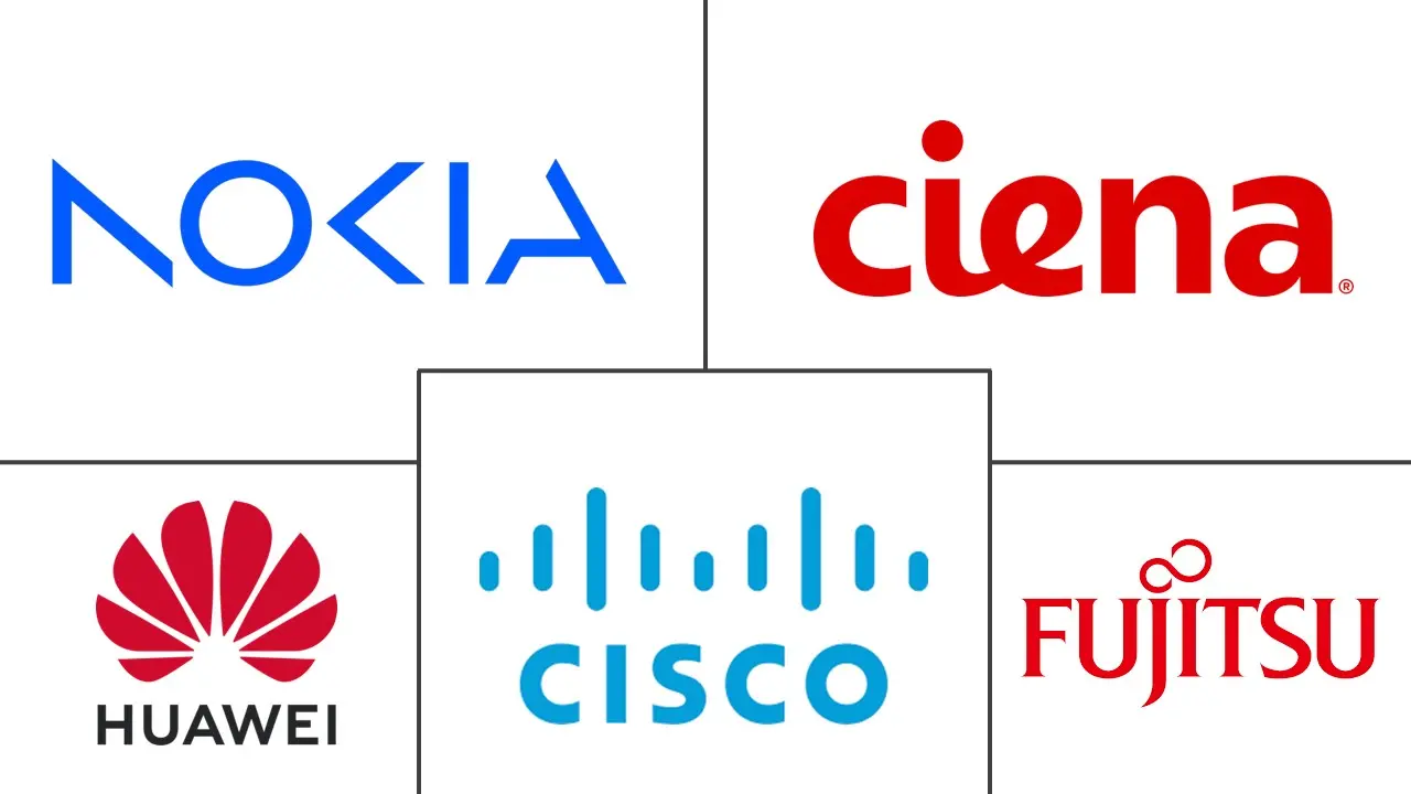  India Optical Transport Network (OTN) Market Major Players