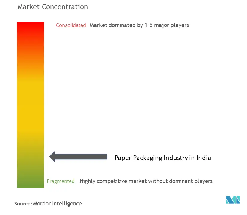 India Paper And Paperboard Packaging Market Concentration