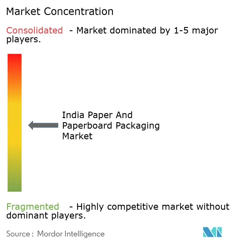 India Paper And Paperboard Packaging Market Concentration