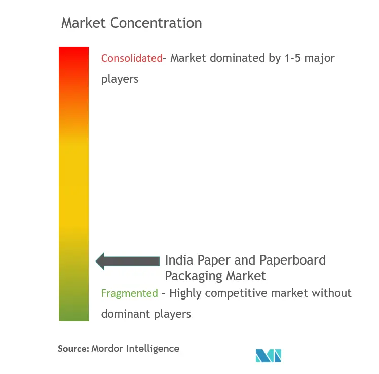 India Paper and Paperboard Packaging Market Concentration
