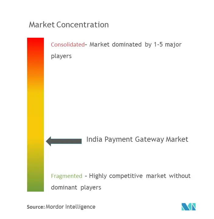 India Payment Gateway Market Concentration