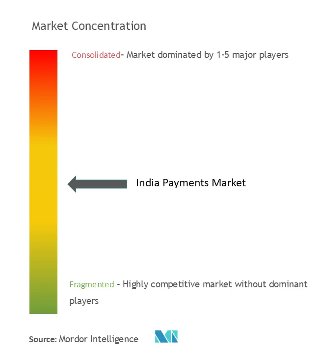 India Payments Market Concentration