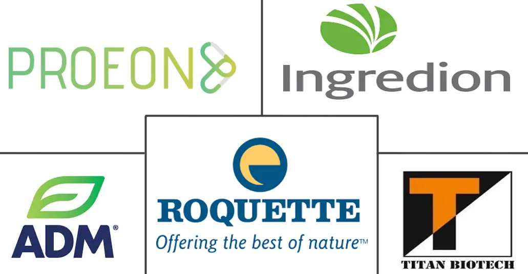 인도 완두콩 단백질 산업의 주요 참여자