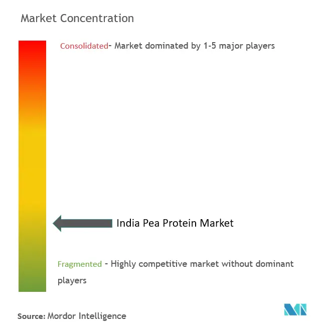 Concentração do mercado de proteína de ervilha da Índia