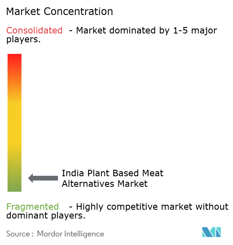 India Plant Based Meat Alternatives Market Concentration