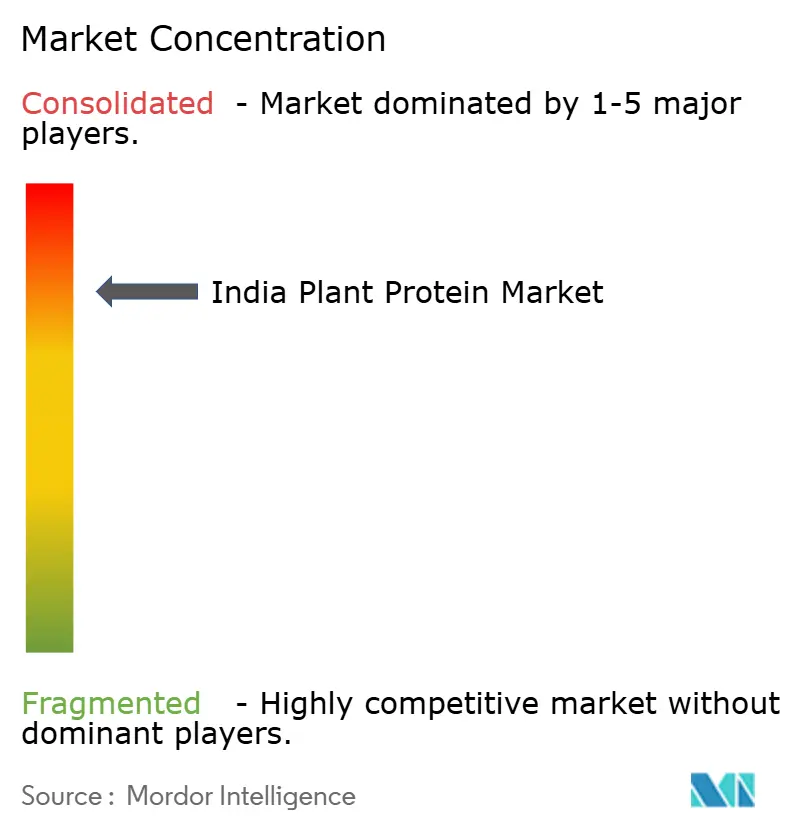 India Plant Protein Market Concentration