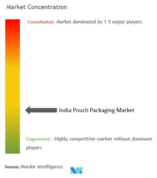 India Pouch Packaging Market Concentration