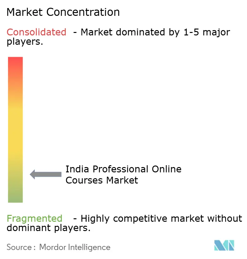 Marktkonzentration für professionelle Online-Kurse in Indien