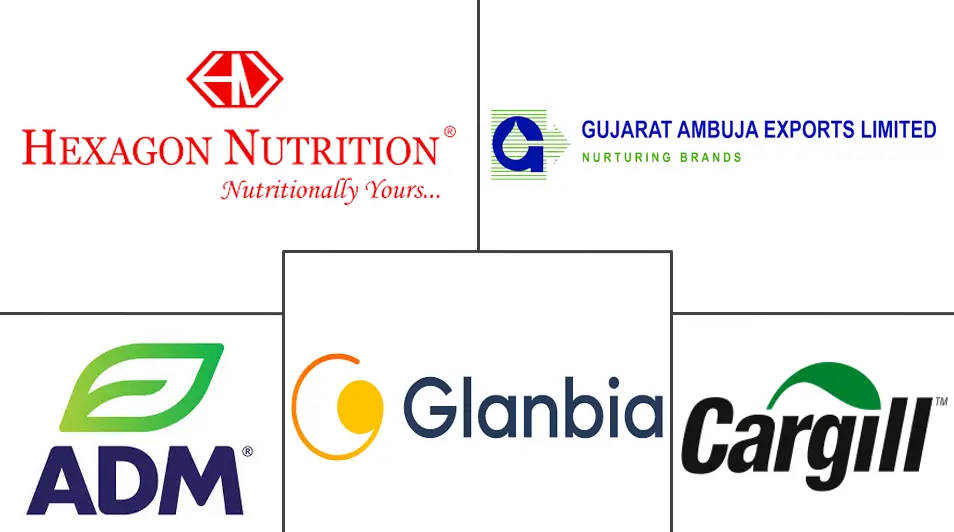 Major players in India Protein industry