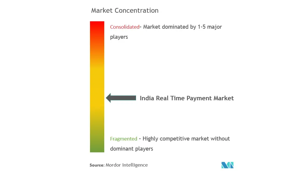 India Real Time Payments Market Concentration