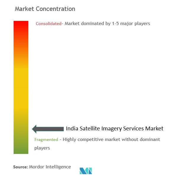 インド衛星画像サービス市場の集中度