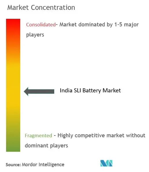 India SLI Battery Market Concentration