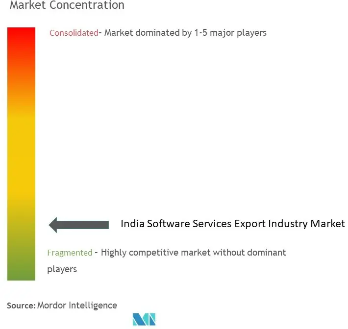 India Software Services Export Market Concentration