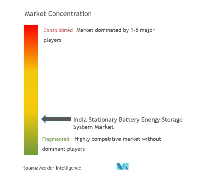 India Stationary Battery Energy Storage System Market Concentration