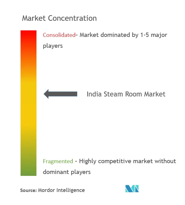 インドのスチームルーム市場集中度
