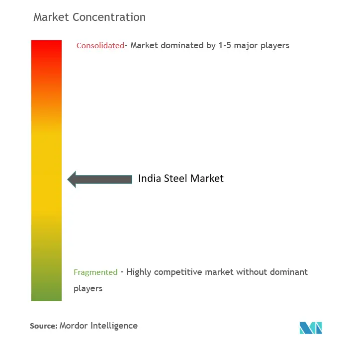 India Steel Market Concentration