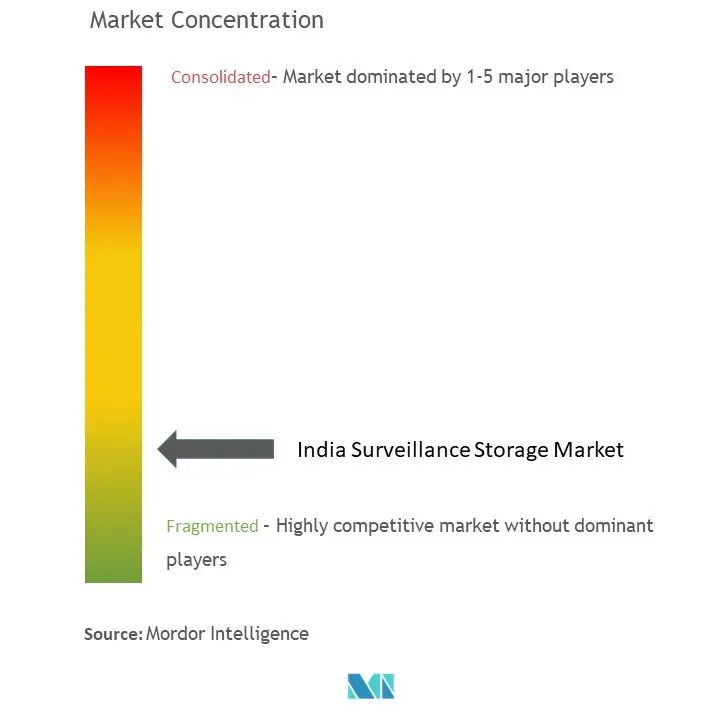 India surveillance storage market concentration