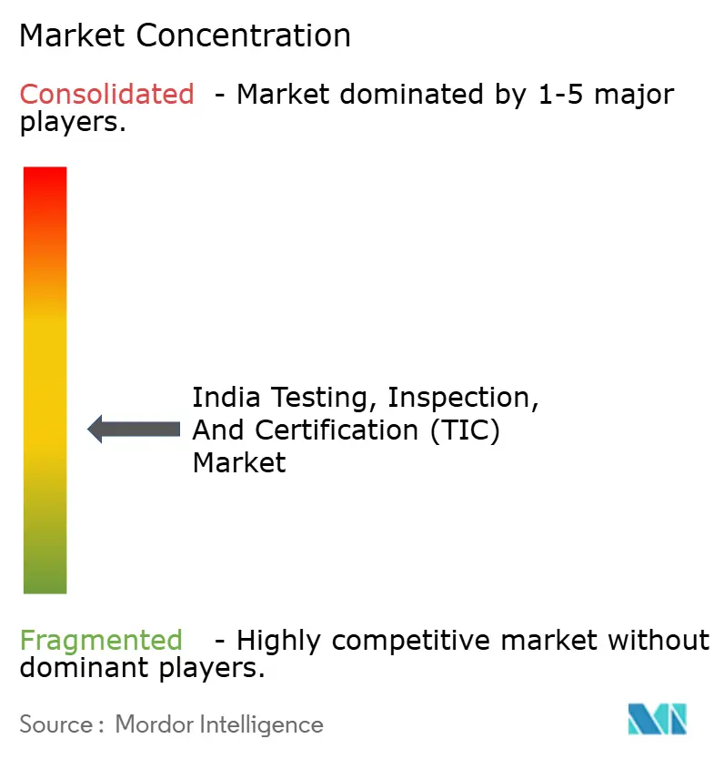 India Testing, Inspection, And Certification (TIC) Market