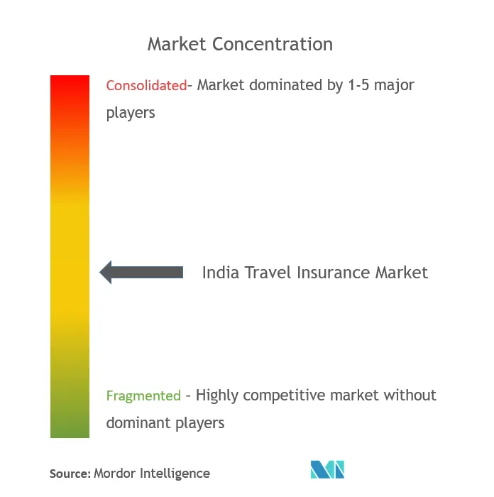 India Travel Insurance Market concentration.png