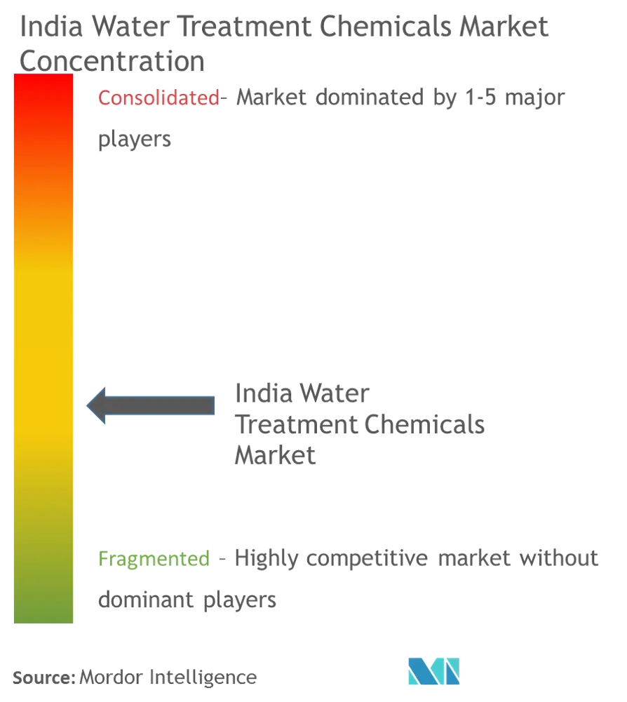 India Water Treatment Chemicals Market - Market Concentration.png