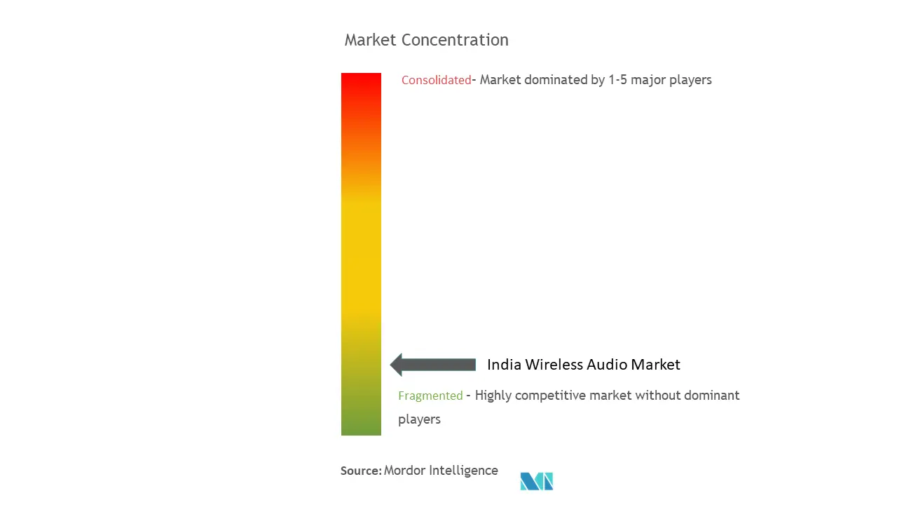 India Wireless Audio Market Concentration