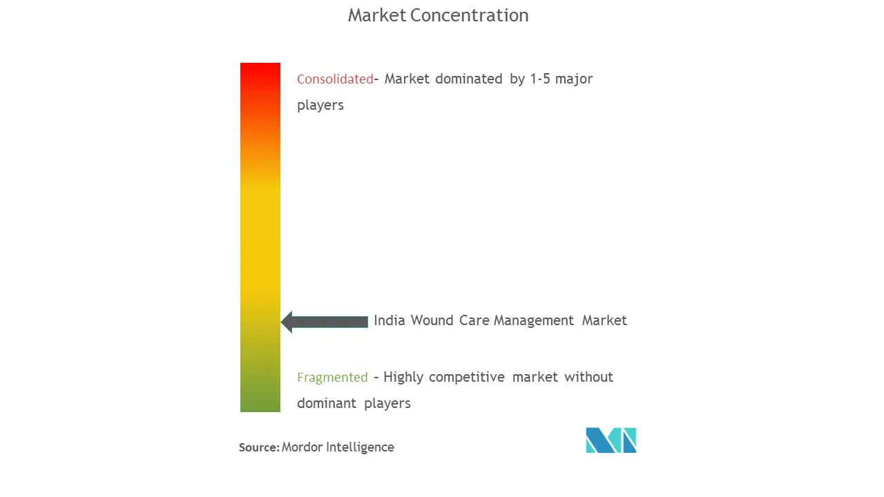 India Wound Care Management Market Concentration