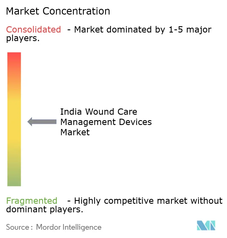 India Wound Care Management Devices Market Concentration India Wound Care Management Devices Market Concentration