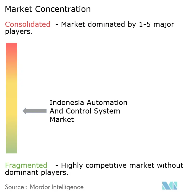Indonesia Automation and Control System Market Concentration