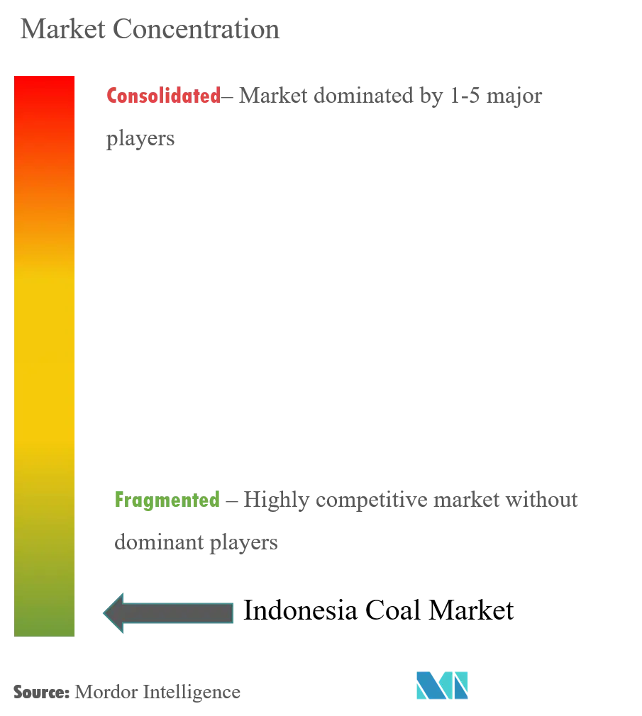 Indonesia Coal Market Concentration