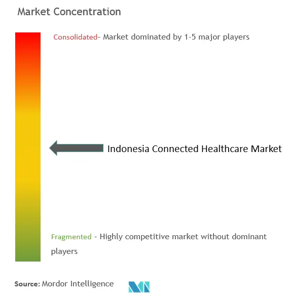 Indonesia Connected Healthcare Market Concentration