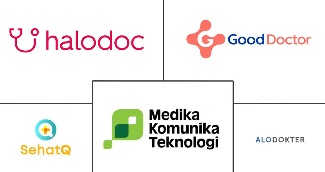 인도네시아 커넥티드 헬스케어 산업의 주요 참여자