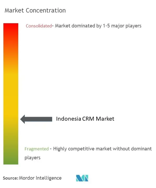 Indonesia CRM Software Market Concentration