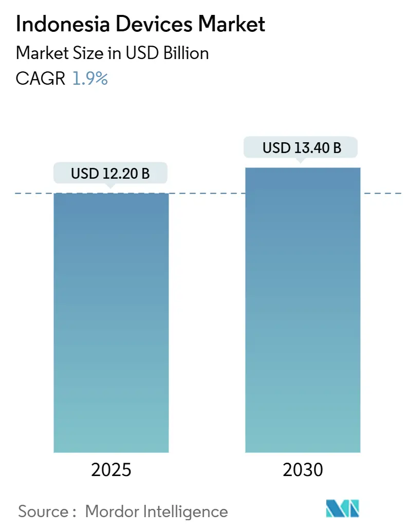 Indonesia Devices Market (2025 - 2030)