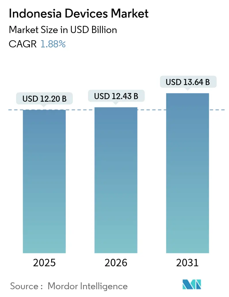 Indonesia Devices Market (2025 - 2030)