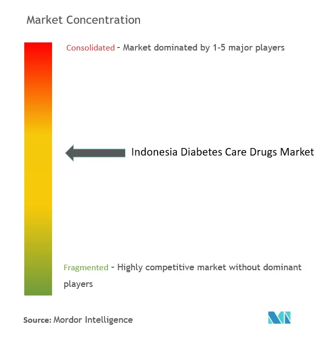 Indonesia Diabetes Care Drugs Market Concentration