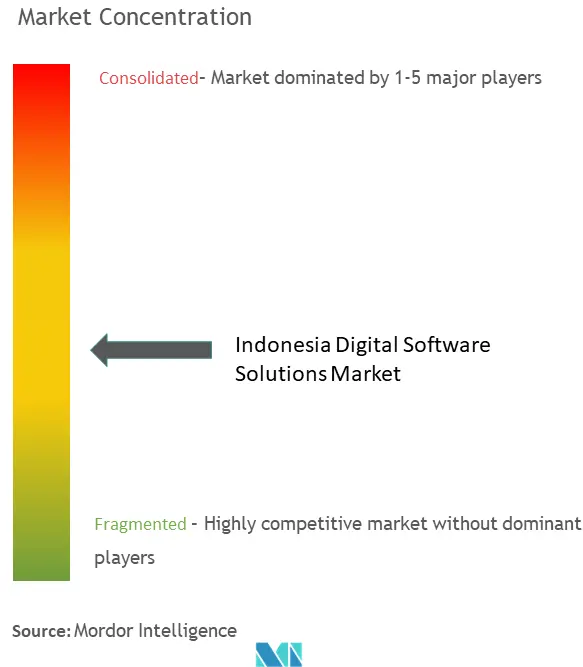 Indonesia Digital Software Solutions Market Concentration