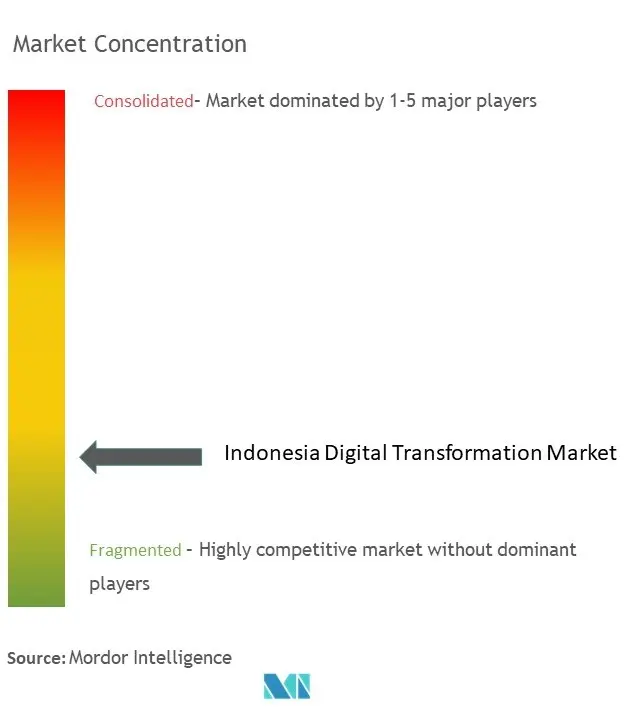 Indonesia Digital Transformation Market Concentration