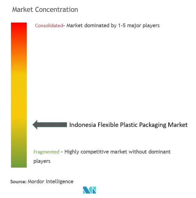 Indonesia Flexible Plastic Packaging Market Concentration