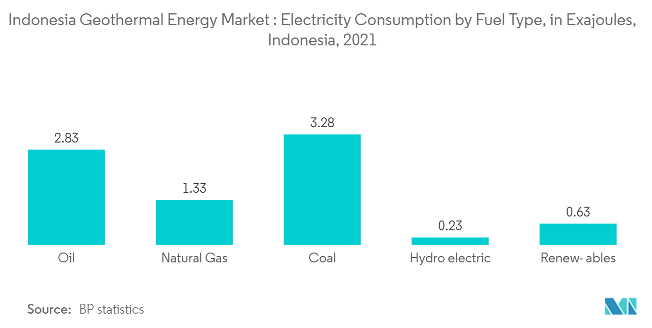 Indonesia Geothermal Energy Market: Electricity Consumption by Fuel Type, in Exajoules, Indonesia, 2021