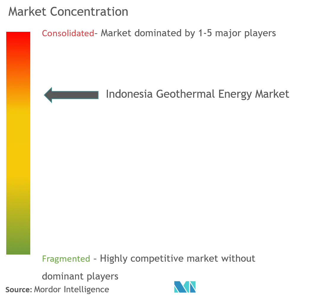 Indonesia Geothermal Energy Market  Concentration