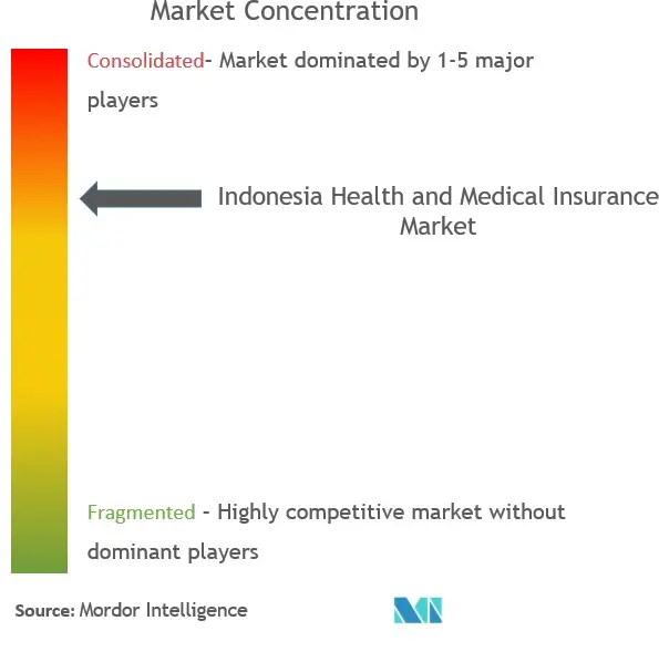 Seguro médico y de salud en IndonesiaConcentración del Mercado