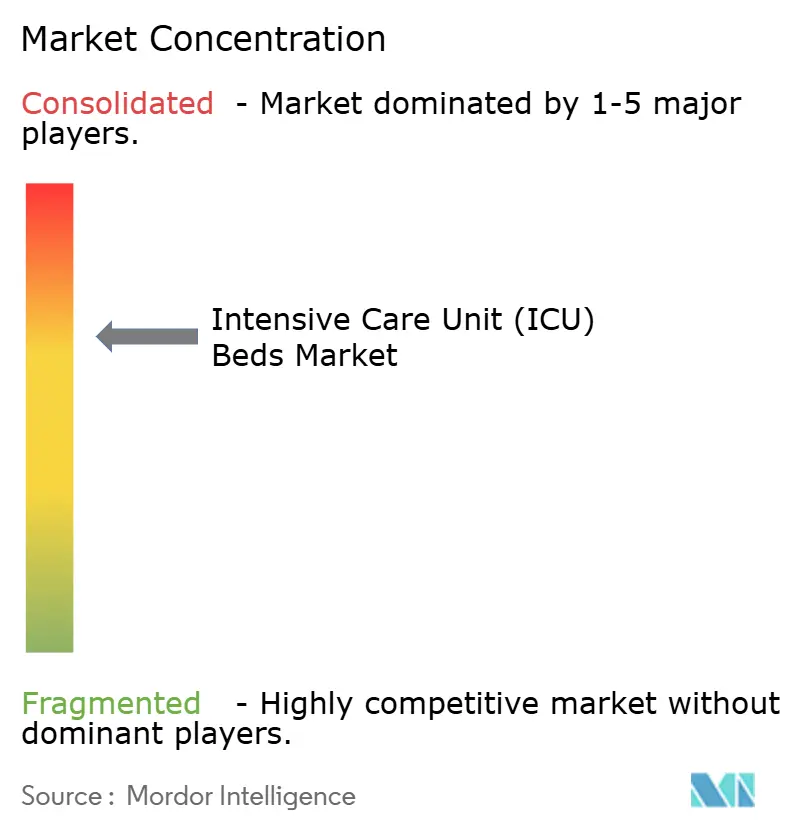 Indonesia ICU Beds Market Concentration