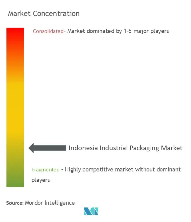 Indonesia Industrial Packaging Market Concentration