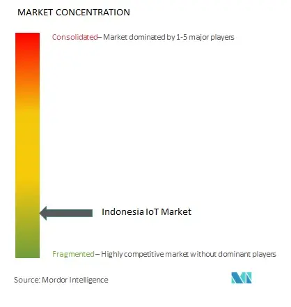 Indonesia IoT Market Concentration