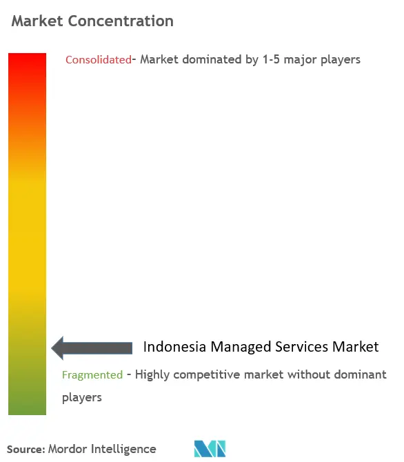 Indonesia Managed Services Market Concentration