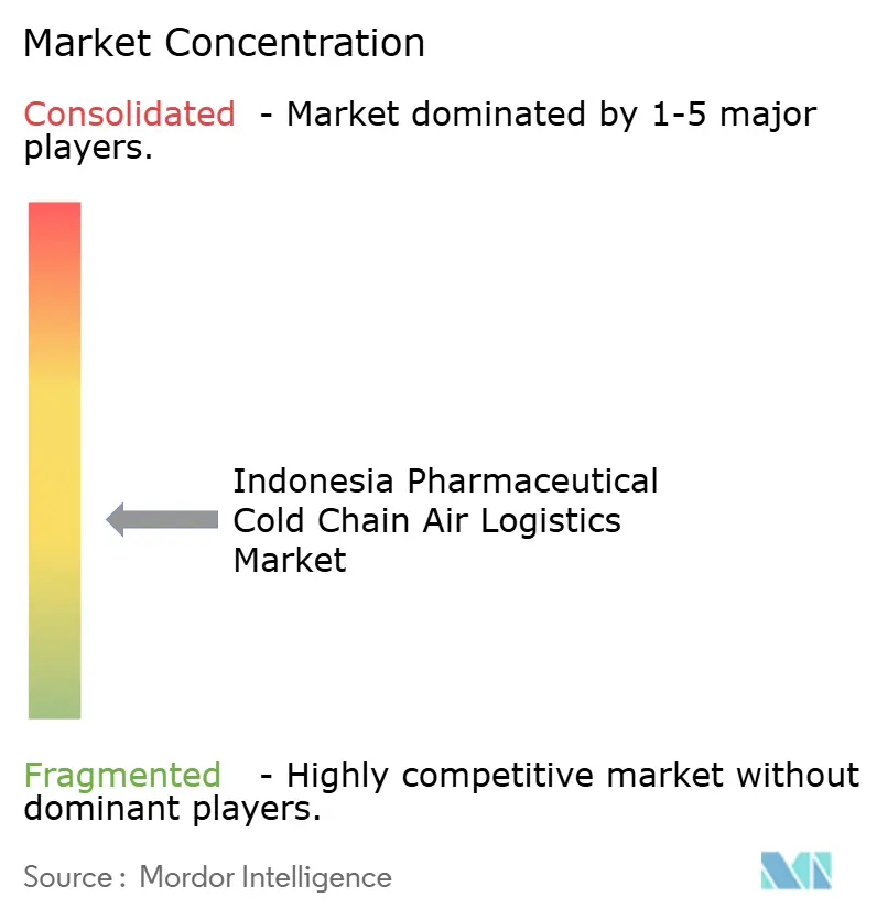 Indonesia Pharmaceutical Cold Chain Air Logistics Market Concentration