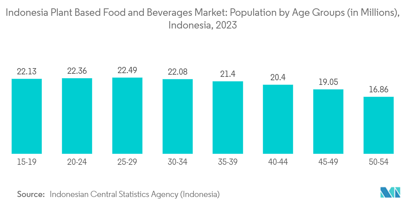 Indonesia Plant Based Food and Beverages Market: Population by Age Groups (in Millions), Indonesia, 2023