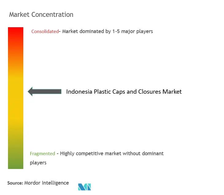 Indonesia Plastic Caps And Closures Market Concentration